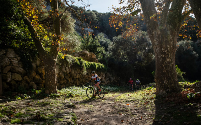 Els voltants de Maó ofereixen paisatges variats.